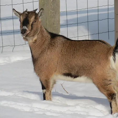 Domaine De Montaigu Couette-café *