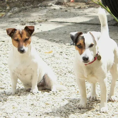 Domaine De Montaigu Couette-café *