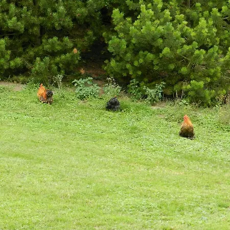 Couette-café Domaine De Montaigu Ambleny