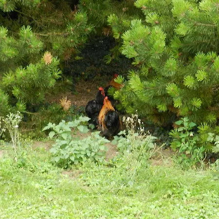 Couette-café Domaine De Montaigu