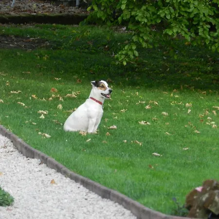 Domaine De Montaigu Ambleny